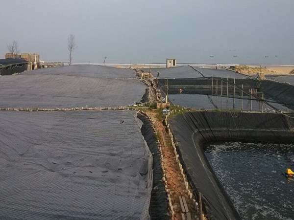 莱芜钢架养殖用土工膜名牌厂家图片第4张-乐鱼app官网土工材料