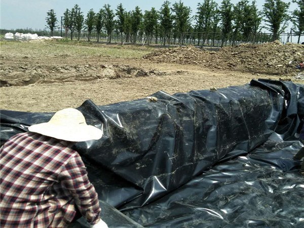 滨州泥鳅养殖hdpe土工膜供应厂家图片第5张-乐鱼app官网土工材料