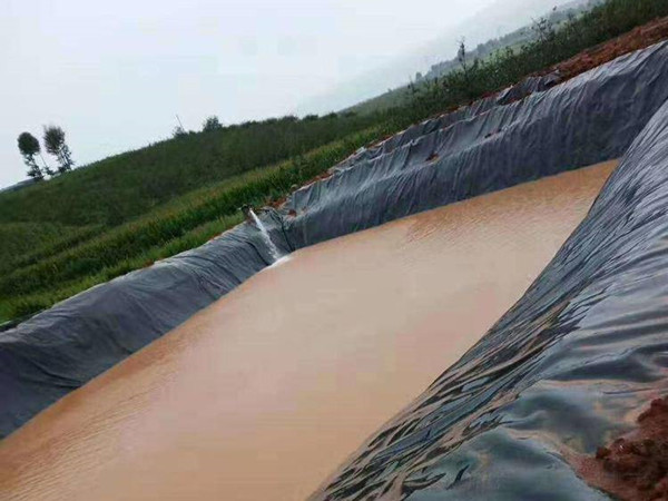 扬州围堰专用土工膜,700克复合土工膜图片第7张-乐鱼app官网土工材料